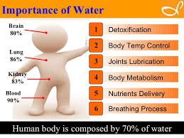 importance of water